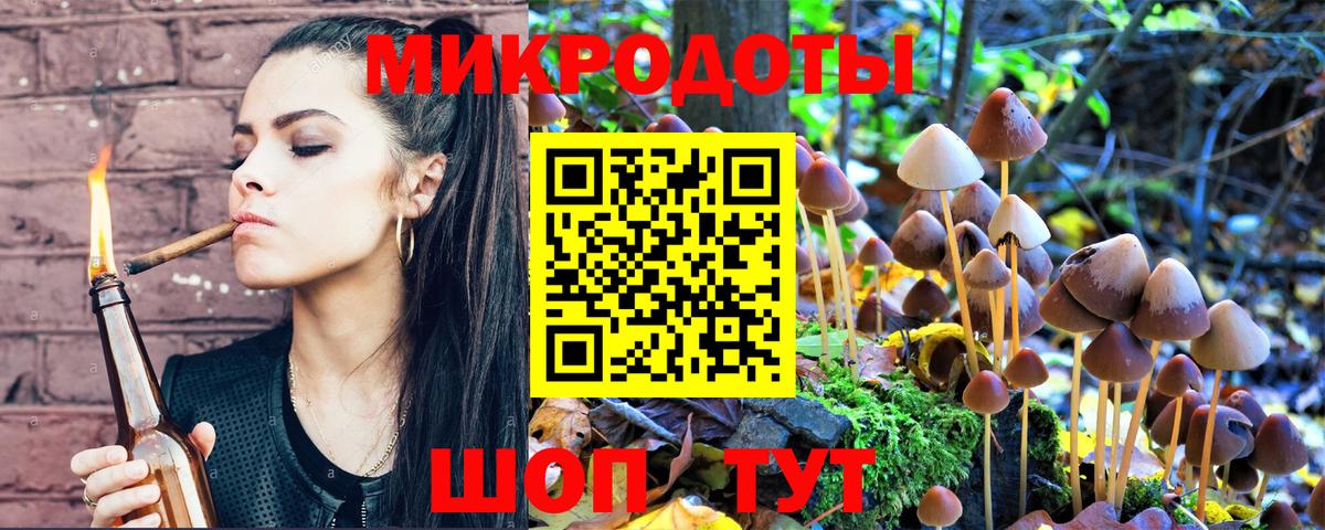 Галлюциногенные грибы Psilocybe Самара